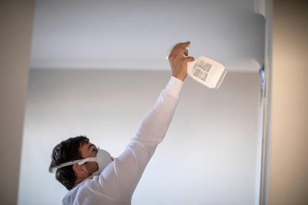 Best Mold Testing  in Grafton, ND