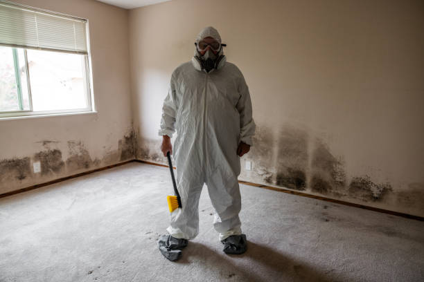 Best Mold Remediation Services  in Grafton, ND
